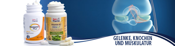 Gelenke, Knochen & Muskulatur